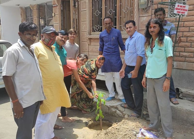 ‘पौधे परिवेश व जीवों की पहली जरूरत’