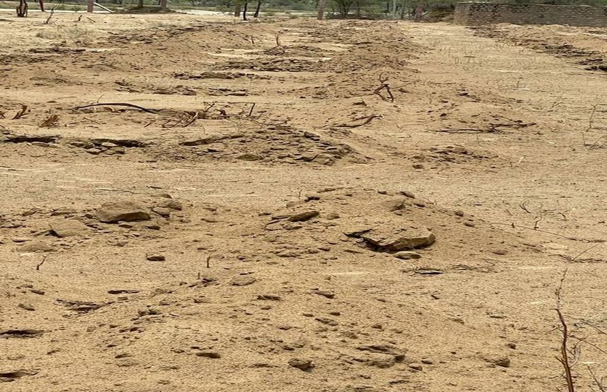 ग्रामीण-समाजसेवी मिलकर गायों के लिए तैयार करेंगे ऑक्सीजोन