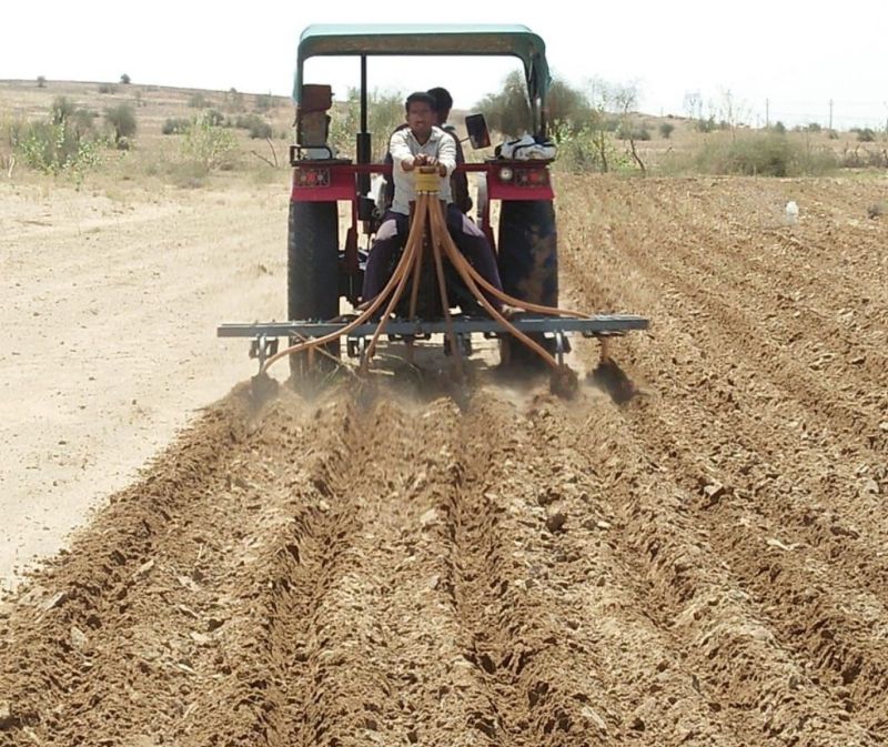 उन्नत किस्म बीज से बेहतर मिलेगा परिणाम
