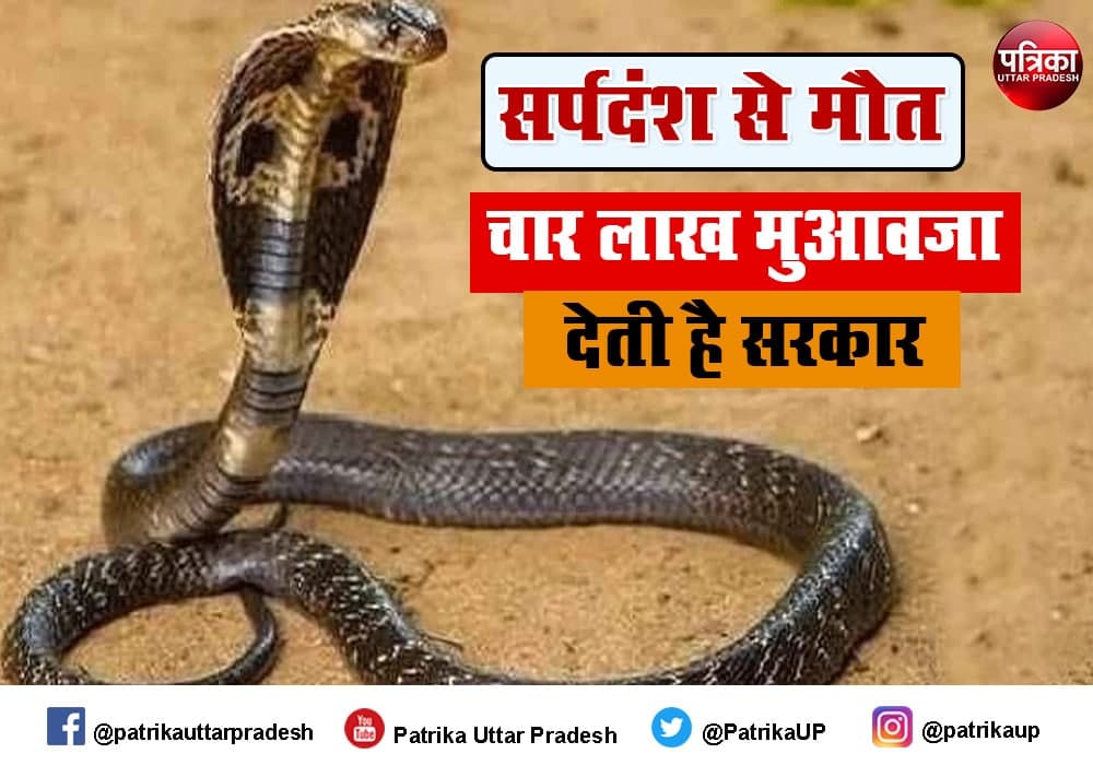 sultanpur total death by snake bite compensation update