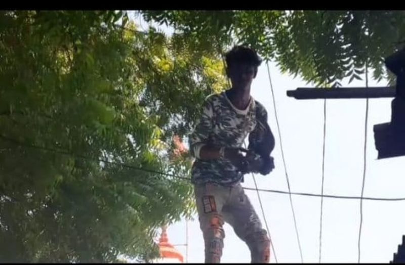 Ratlam bird lover lakhan bird lover lakhan Pigeon lover