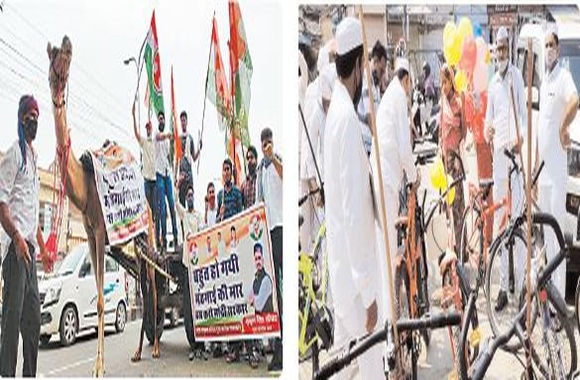 कभी ऊंट तो कभी घोड़ा गाड़ी...अब तो साइकिल को ही बनाया सवारी