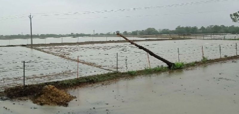 खेत हुए जलमग्न तो किसानों के खिले चेहरे