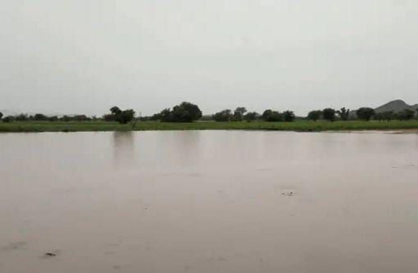 Monsoon 2021 Rain In Alwar: Continue Rainfall In Alwar District