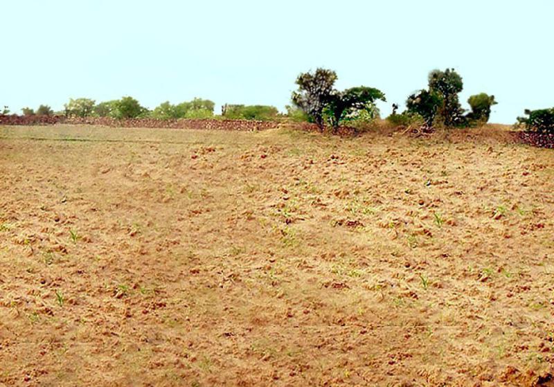 बढ़ता जा रहा बारिश का इंतजार, बीता जा रहा बुवाई का समय