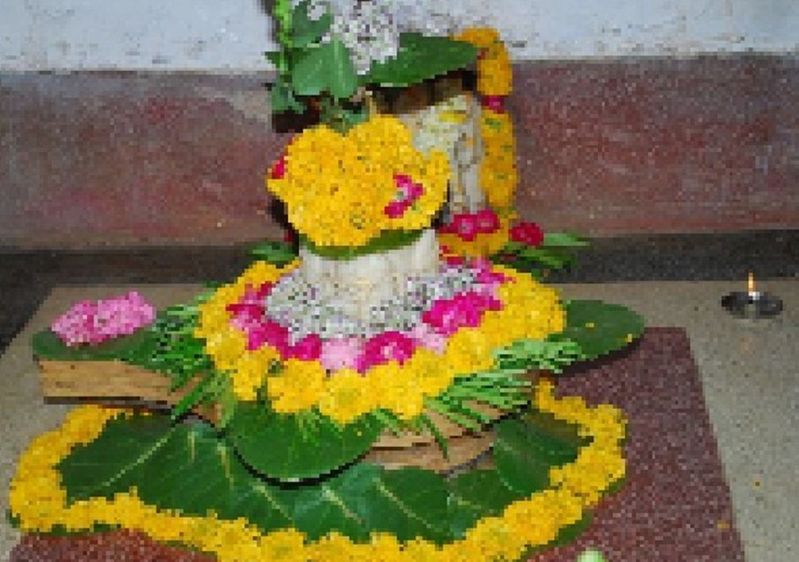 दर्शनार्थियों की भीड़ नहीं जुटे, सोशल डिस्टेसिंग की पालना हो