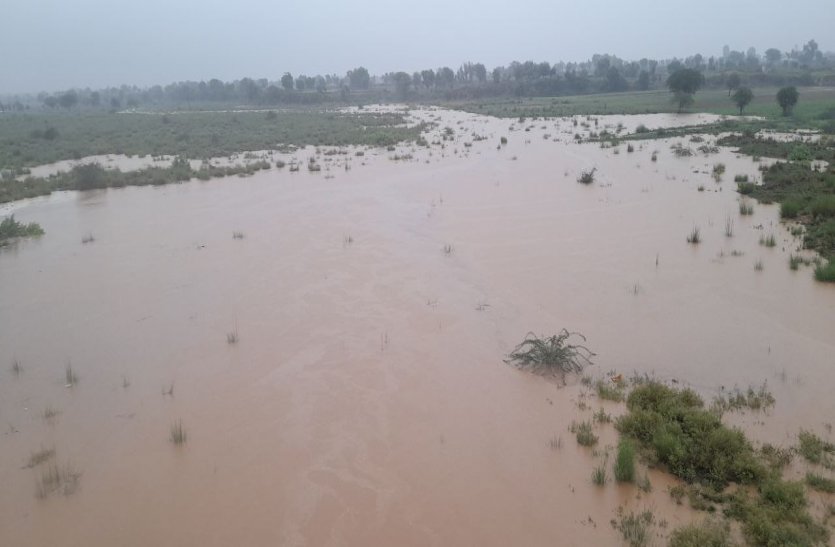 Rain In Alwar 2021: Continue Two Days Rain In Alwar District