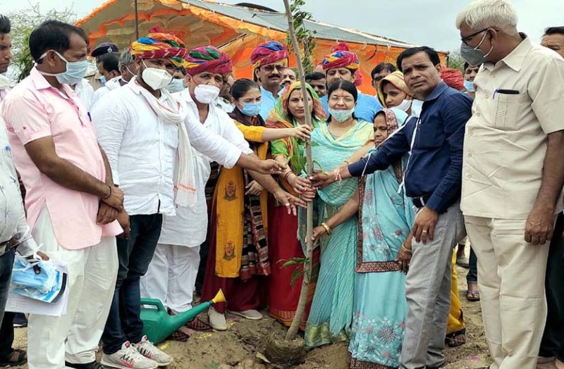 27 बीघा चरागाह भूमि पर लगेंगे 2 हजार पौधे