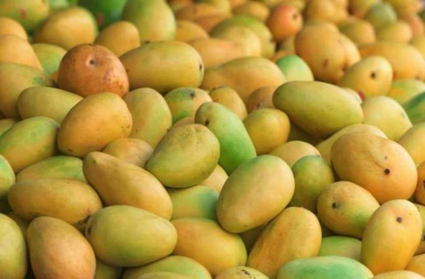 How to know if Mangoes are ripened chemically