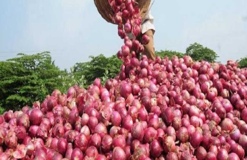 Ahmedabad News : 6 हजार हेक्टेयर में प्याज की खेती, सालाना दो सौ करोड़ का कारोबार