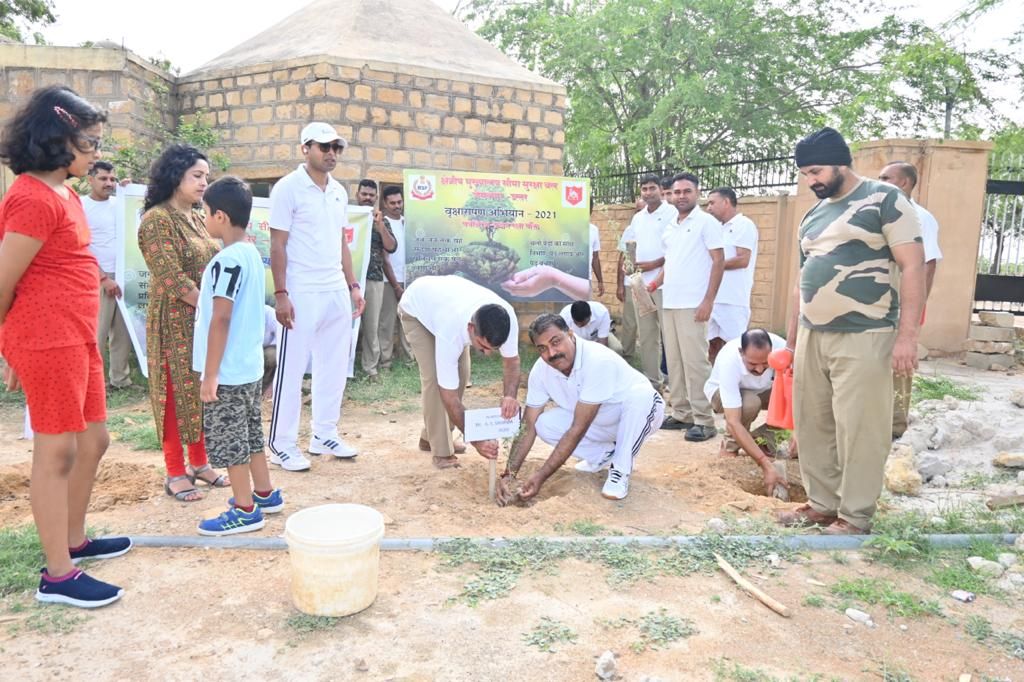 सीसुब ने किया 2 हजार पौधों का रोपण, दिखाया जज्बा