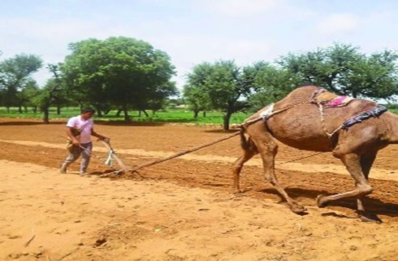 हर आंख में उम्मीद...हर धरा प्यासी