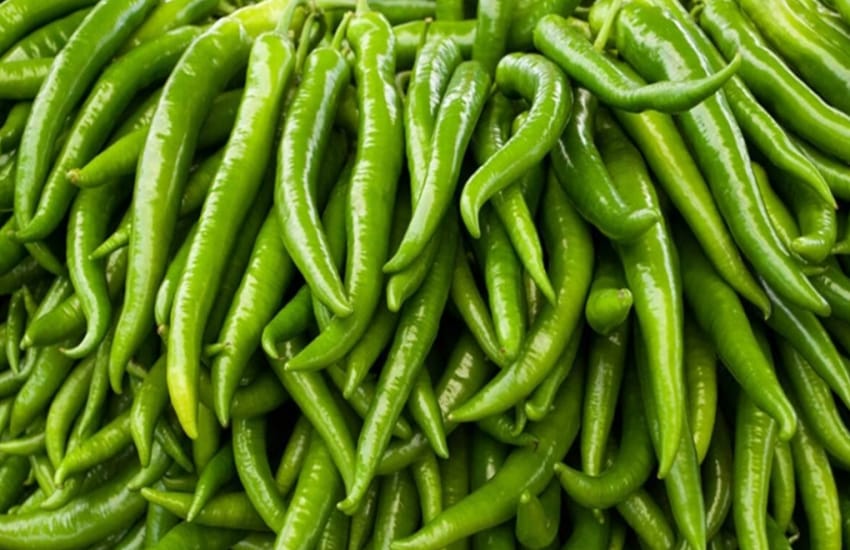 How to preserve green chilly for long time
