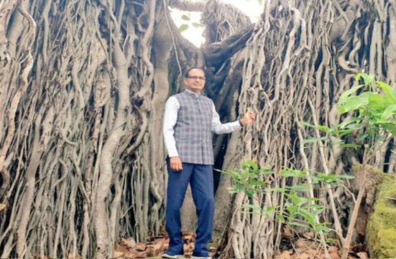 CM Shivrajsingh Chauhan Bori Sanctuary STR Pachmari