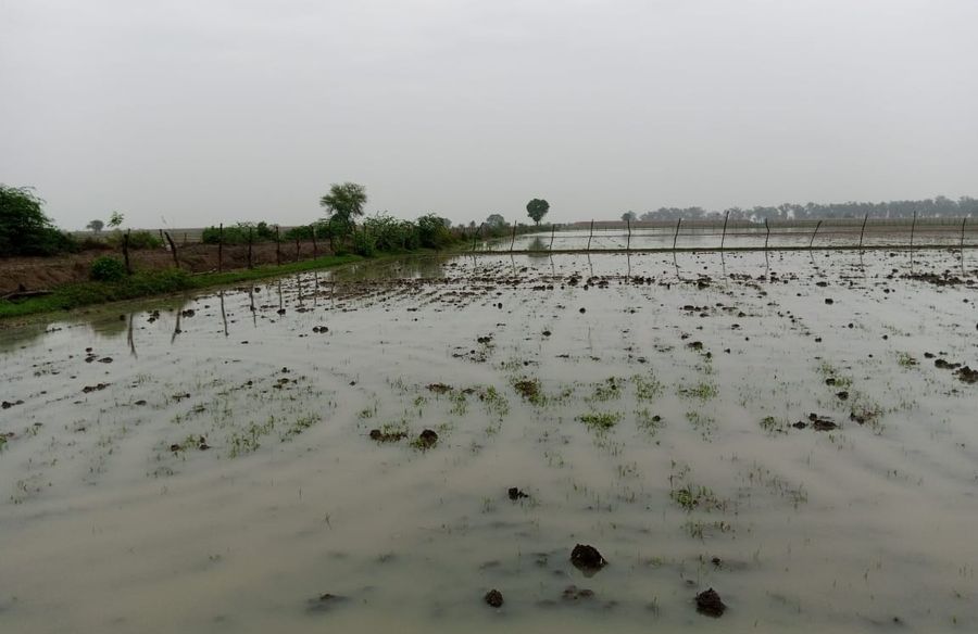 कोटा जिले में मंडावरा के पास एक्सप्रेस वे के ड्रेनेज सिस्टम की खामी से खेतों में भरा बारिश का पानी। 