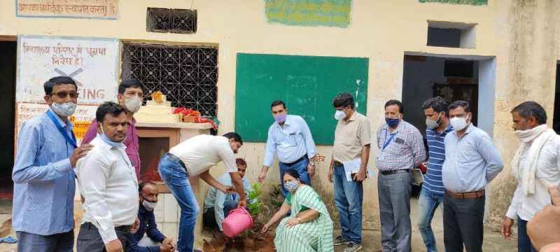 पेड़-पौधों के बिना जीवन संभव नहीं