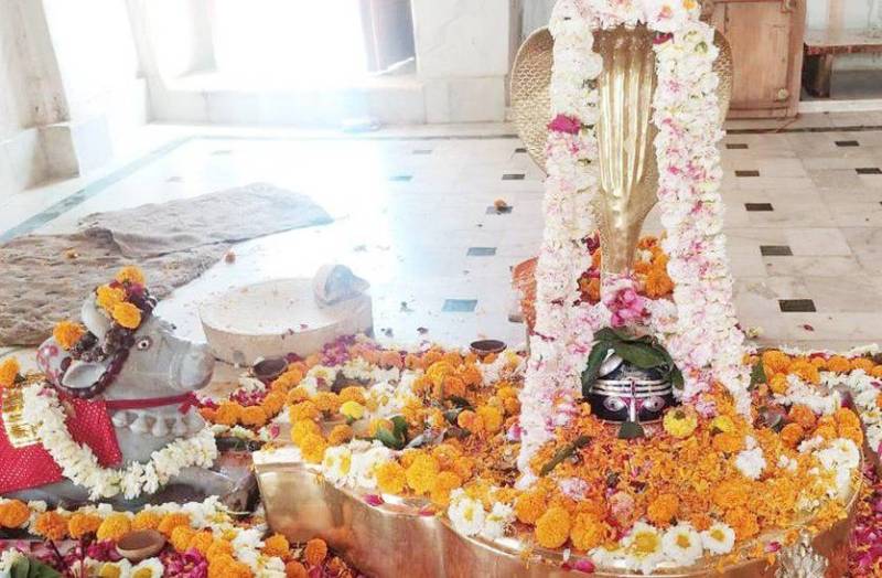 पूरे श्रावण बारिश के पानी से होगा नर्बदेश्वर महादेव का अभिषेक