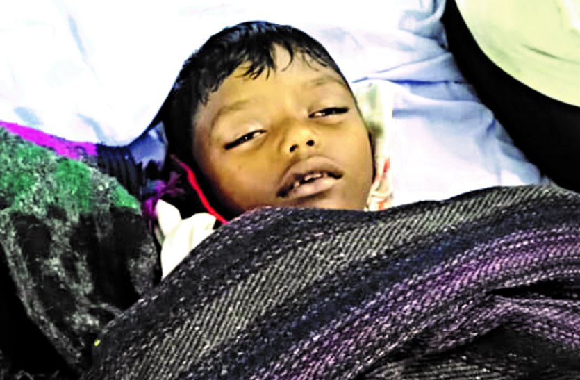 राजनांदगांव: मोहल्ला क्लास में 8 साल के छात्र को जहरीले सांप ने डसा, मौत के बाद बिफरे परिजन, कहा लापरवाही से जान