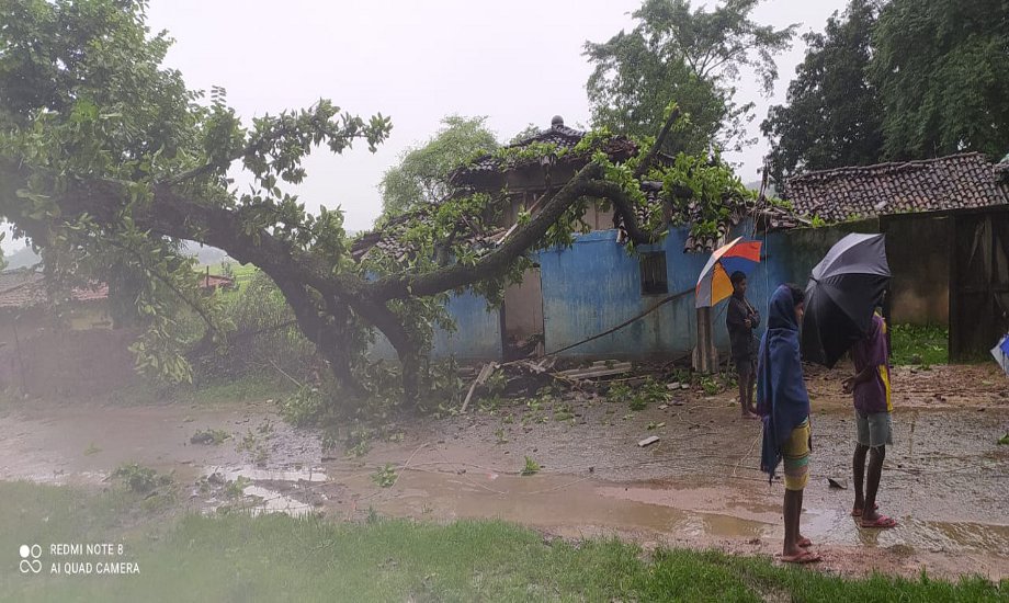 Huge tree fell on former sarpanch house