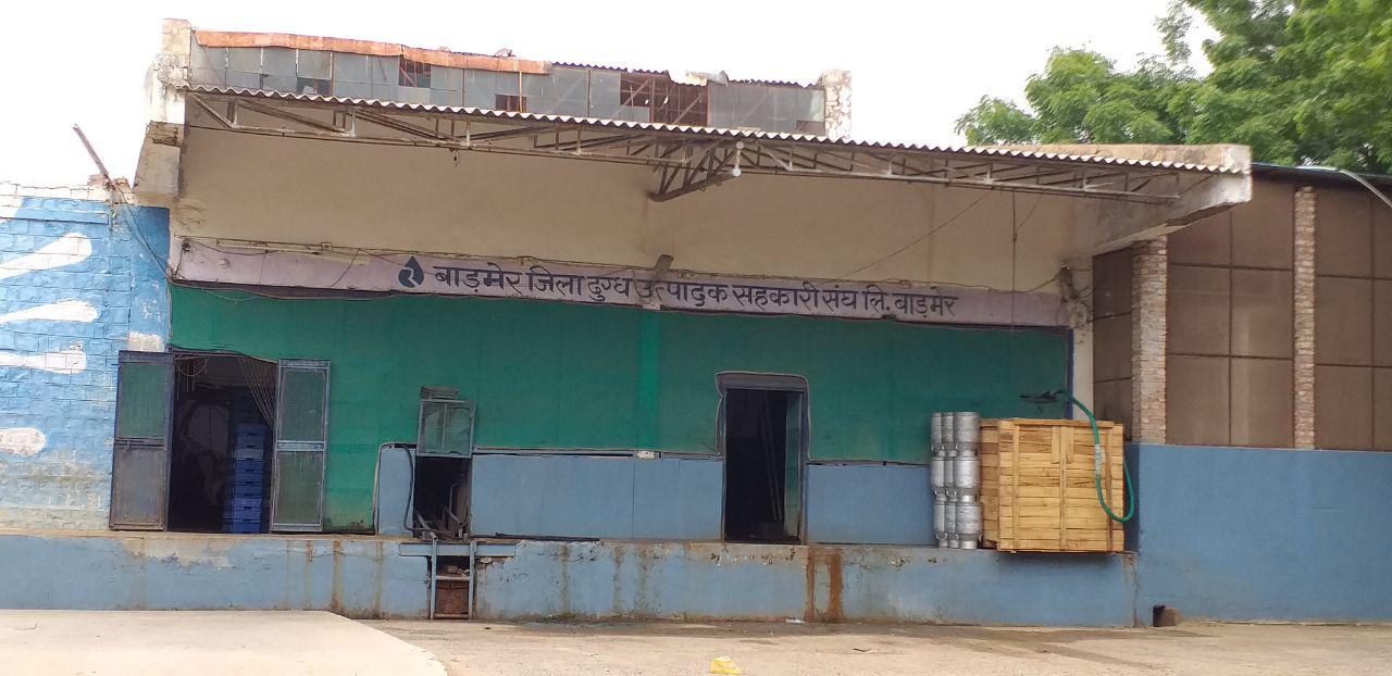 दूध की ' पतली ' होती धार, डेयरी बनवा रही घी