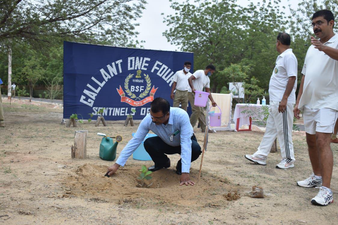 बाड़मेर : बीएसएफ अधिकारियों और जवानों ने लगाए 1400 पौधे