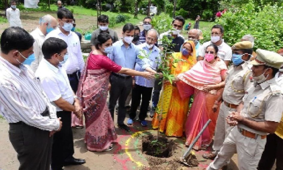 स्वास्थ्य को सर्वोपरि रखते हुए औषधीय पौधों को घर-घर पहुंचाने का बीड़ा