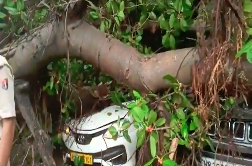 100 साल से भी ज्यादा पुराना बरगद का पेड़ गिरा, एक की मौत