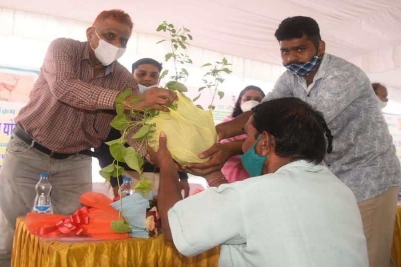 'घर-घर औषधि योजना एवं 72 वें वन महोत्सव का आगाज