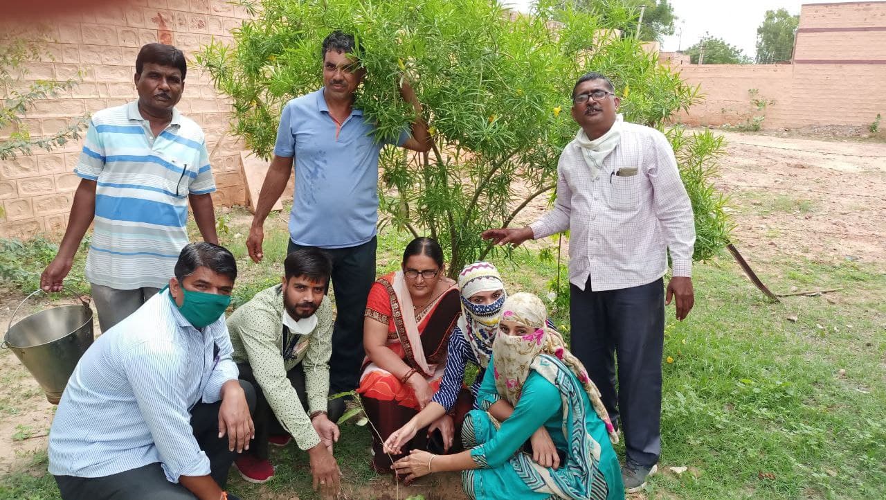Taking a pledge to protect the environment by planting trees