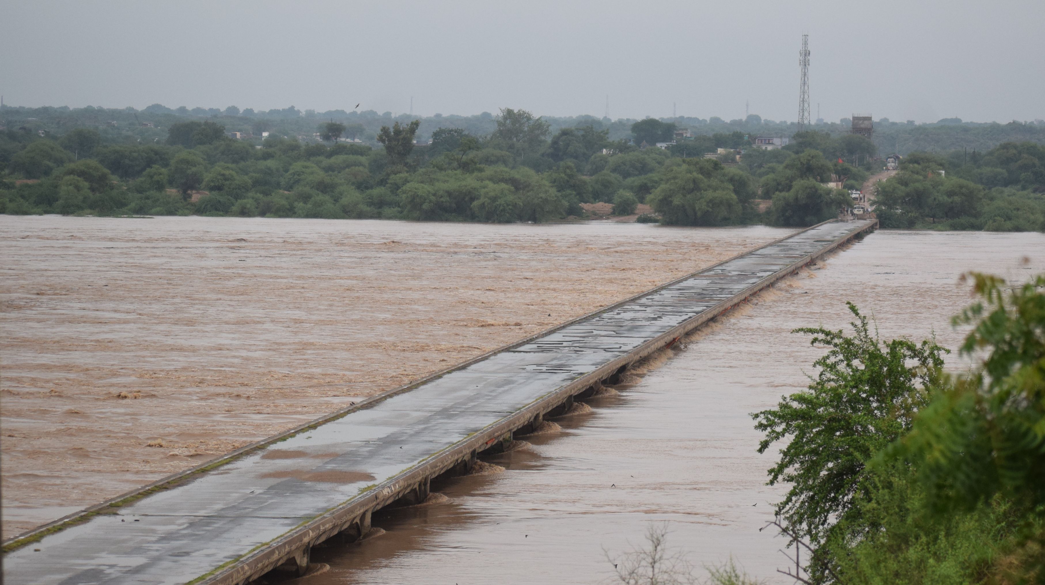  Flood situation in Dholpur, Chambal river ten meters above the danger mark