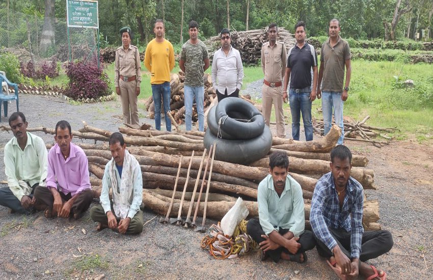 सागौन लकड़ी चोरी करने के आरोप में सात लोग गिरफ्तार