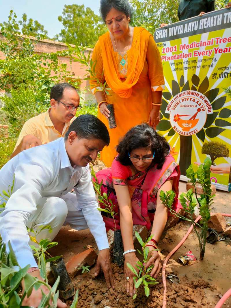 खेत को हर्बल गार्डन में तब्दील करने का संकल्प