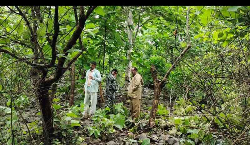 दरिंदे ने बच्ची को पहले पेड़ से बांधकर जबरदस्ती की, फिर मौत के घाट उतारा