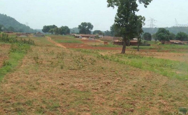 thousands registries in villages of Bandha and Dhirauli coal blocks of Singrauli