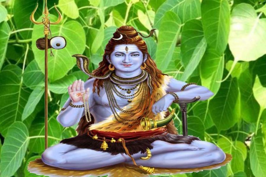 सर्वार्थसिद्धि व रवि पुष्य योग मनाई जाएगी हरियाली अमावस्या