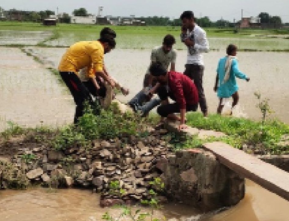 बालिका व दो युवकों के शव नहर और ड्रेन में फंसे मिले