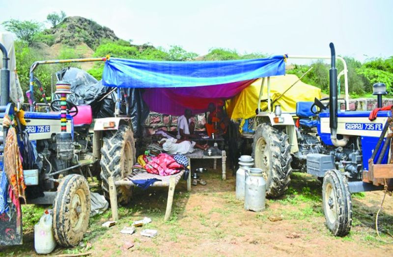 हम तो कुछ भी खा लेंगे....इन पशुओं का क्या करें!