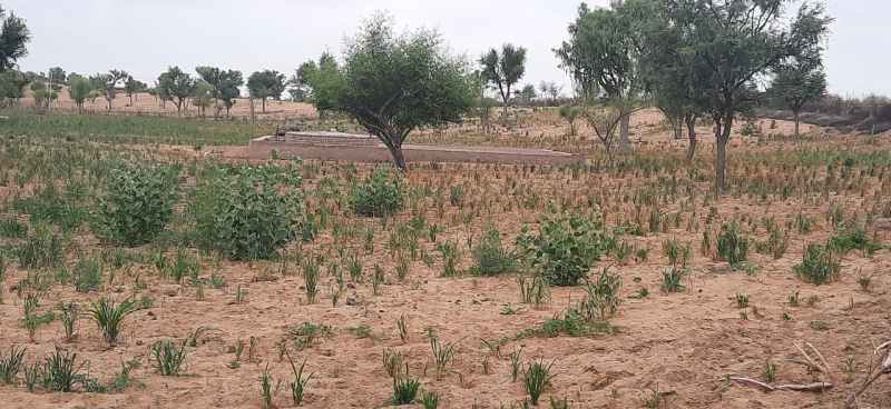Agro-processing agribusiness and agricultural export promotion policy discussion in the agricultural market