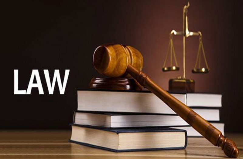 अब साइंस कॉलेज के विद्यार्थी बीए में पढ़ेंगे लॉ, इसी साल से चुन सकेंगे विषय, उच्च शिक्षा विभाग से मिली मंजूरी