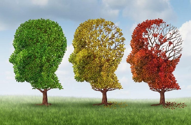 CURE DEMENTIA : इन 4 तरीकों से 88 फीसदी तक घटता है डिमेंशिया का खतरा
