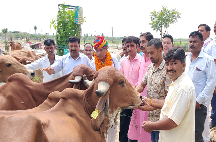 गौशाला के लिए एक लाख 1 हजार रुपए की राशि दी