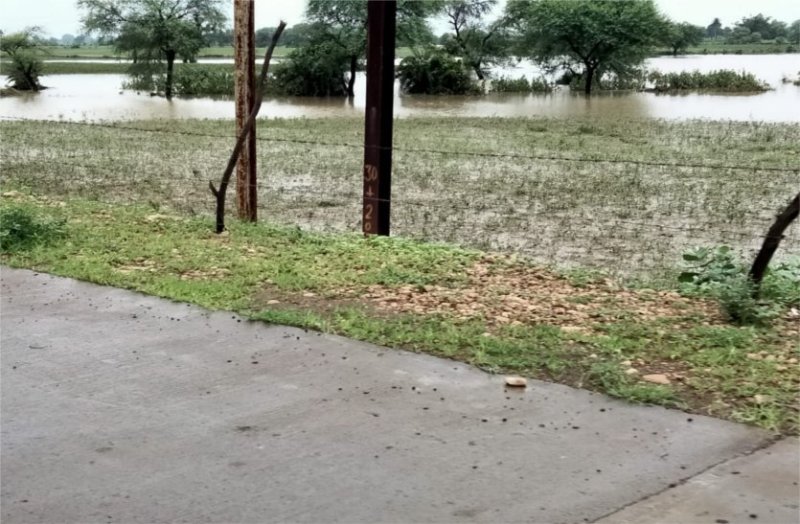 Due to the spate of rivers, water remained in the fields, damage to crops, crops washed away with water