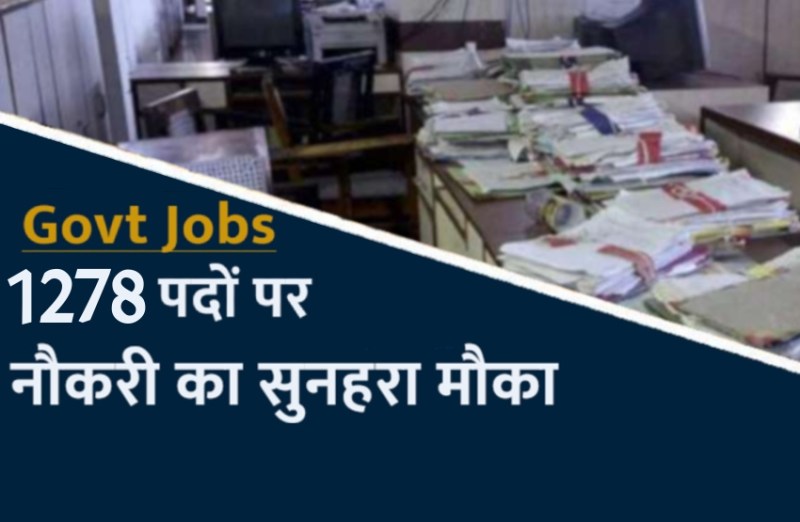 sarkari naukari