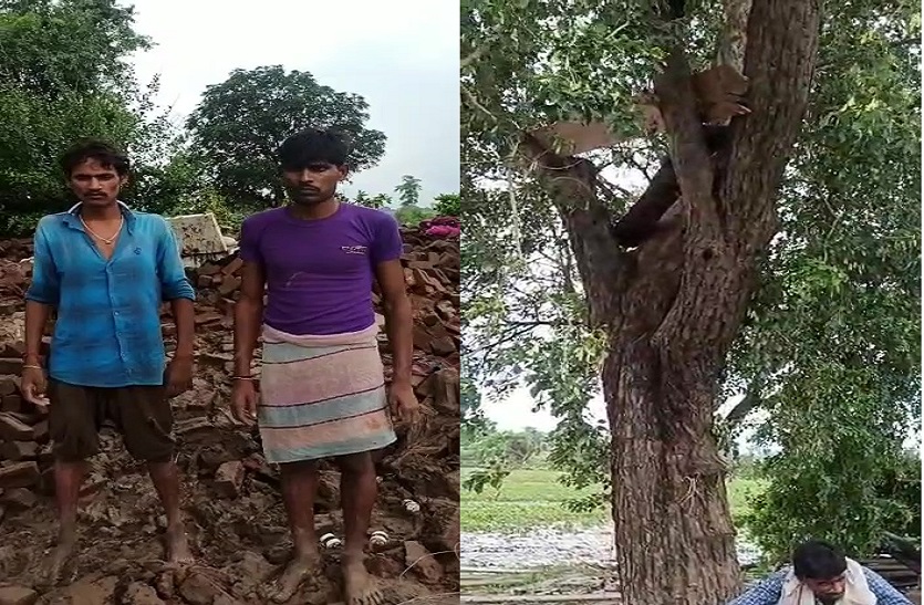 VIDEO: बाढ़ में फंसे पूरे परिवार ने 24 घंटे पेड़ पर गुजारे