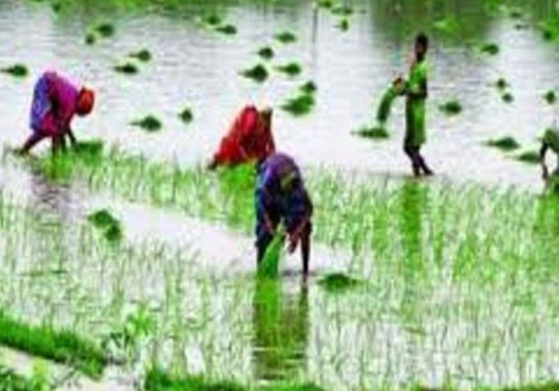 प्रतीकात्मक फोटो