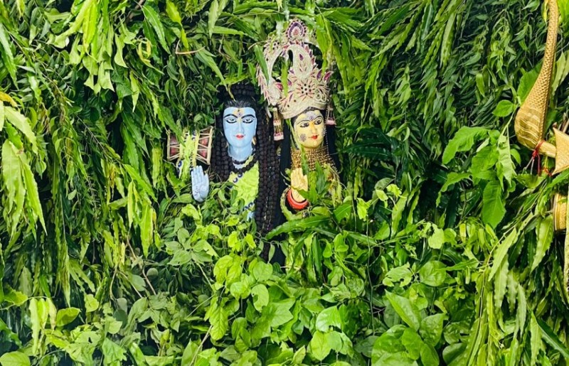 hariyali amavasya