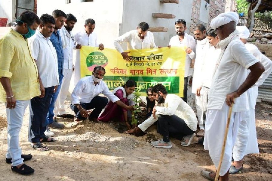 हरयाली अमावस पर हरयाळो राजस्थान
