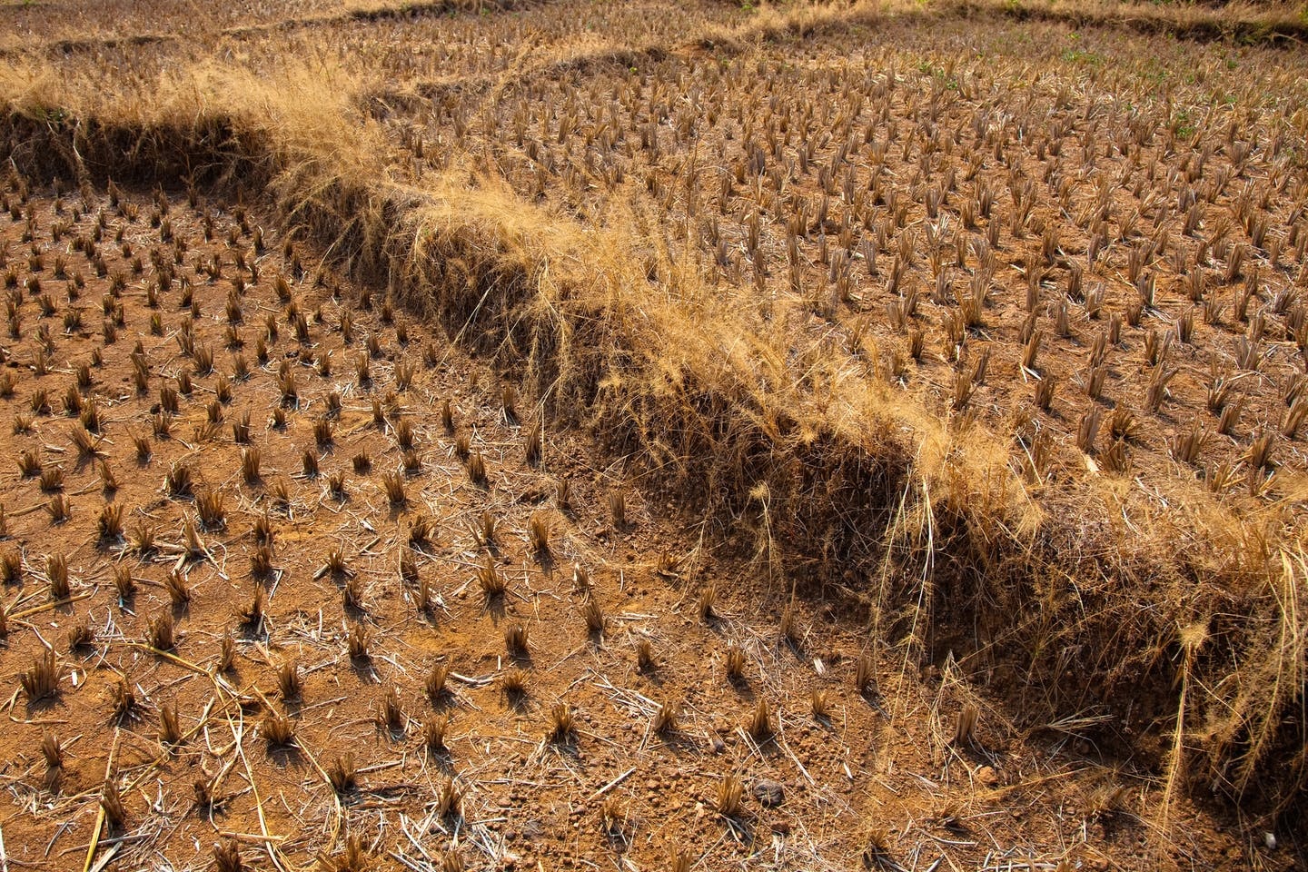 global warming : दक्षिण एशिया में बढ़ेगा सूखा