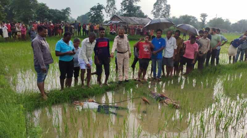 Two farmers died in the field due to electrocution