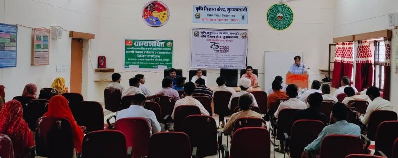 बीज प्रतिस्थापन दर नहीं सतोषजनक, बढ़ाने की जरूरत